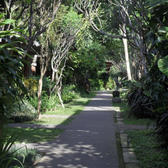 Matahari Bungalow - Bild 19