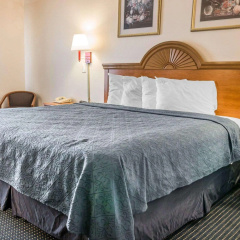 Quality Inn Kalamazoo near Wings Stadium