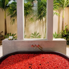Saba Villa - Bild 16
