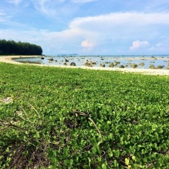 Cape Pakarang Wow Wild Wellness Escapes - Bild 19