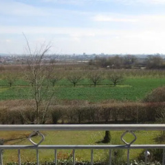 Weitblick Über Mainz - Bild 7