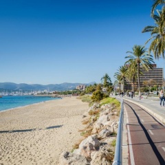 Seguí - Bild 11