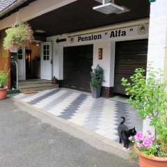 Pension Alfa - Bild 14