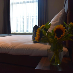 OZO Hotels Armada Amsterdam - Bild 2