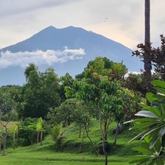 Palm Springs Bali Dive Resorts - Bild 6