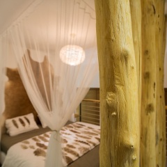 Green Dream Apartment - Bild 4