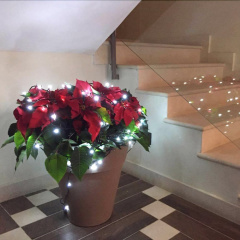 Guesthouse San Domenico thumbnail 19
