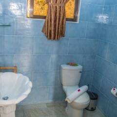 Отель Les Elles Guesthouse Self Catering Сейшельские острова, Остров Маэ - отзывы, цены и фото номеров - забронировать отель Les Elles Guesthouse Self Catering онлайн фото 12