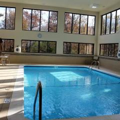 Best Western Delta Inn thumbnail 17