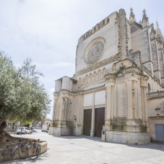 Finca Roig - Bild 17