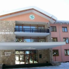 Hotel Edelweiss in Borovets, Bulgaria from 81$, photos, reviews - zenhotels.com photo 41