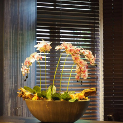 Hotel Blossoms - Bild 11