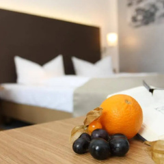 Altstadt-Hotel Passau - Bild 7