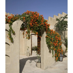 Mihir Garh photo 4