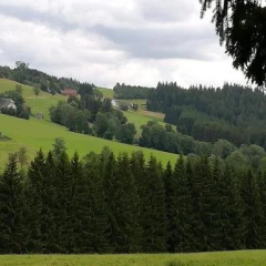 Pension Forsthaus im Täle - Bild 6