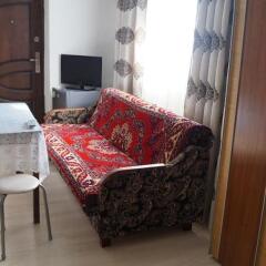 Гостиница Guest House on Vostochnaya D 1D в Дивеево отзывы, цены и фото номеров - забронировать гостиницу Guest House on Vostochnaya D 1D онлайн фото 6