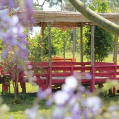 Esralina Pansiyon - Bild 3