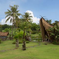 Villa Hawa Sawah - Bild 16