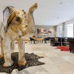 AMEDIA Plaza Dresden - Bild 16
