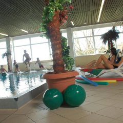 Ferienapartments Panoramic Oberharz - Bild 15