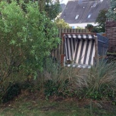 Ferienhaus TerpMeren - Bild 12
