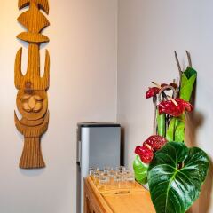 Hôtel Gondwana - City ART in Noumea, New Caledonia from 103$, photos, reviews - zenhotels.com photo 2