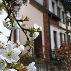 Ferienwohnung Berta - Bild 1