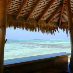 Villa Teareva Dream in Moorea, French Polynesia from 1396$, photos, reviews - zenhotels.com photo 4