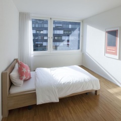 Nest - Erlenmatt - Bild 1