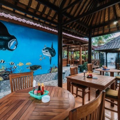D and B Bungalow's by DeWizZ Management - Bild 15