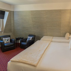 Hotel Delavigne - Bild 3