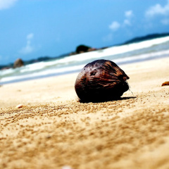 Surasa Beach Resort thumbnail 23