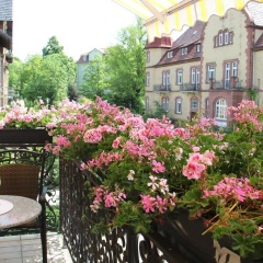 Villa Rothmund - Bild 6