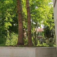 Luxusappartement in der Villa - Bild 14