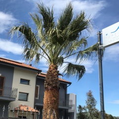 Mareneve Resort thumbnail 42