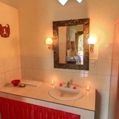 Sawah Lovina - Bild 4