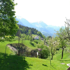 Hartlerlehen Rasp - Bild 8