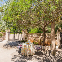 Villa Es Pinar - Bild 15