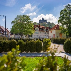 Boutiquehotel Schlosspalais - Bild 15