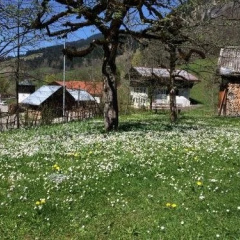 Ferienhaus Bad Hindelang thumbnail 3