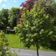 Hostel Goslar - Bild 20