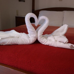 Xenon Apartments thumbnail 32