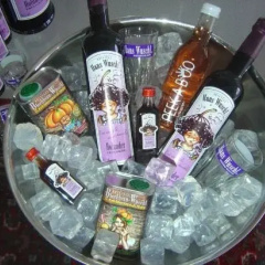 Wuschl Lounge thumbnail 21