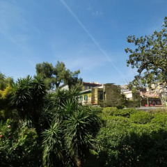 The Bellini House thumbnail 20