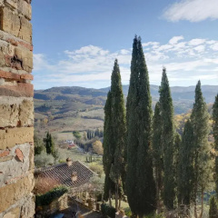 Terre di Baccio thumbnail 9