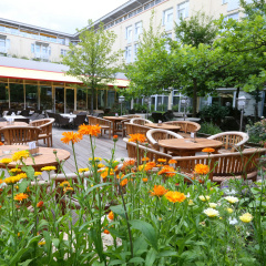 Premotel Hotel - Bild 8