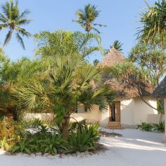 Zanzibar Pearl Boutique Hotel & Villas in Kigomani, Tanzania from 471$, photos, reviews - zenhotels.com photo 18