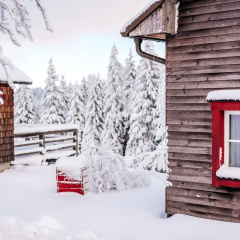 Ferienhauser im Torfhaus Harzresort, Torfhaus - Bild 1