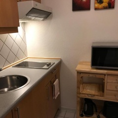 Steiner Strandappartements Appartement 208 Süd- Landseite - Bild 8