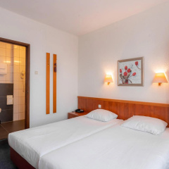 Owl Hotel - Bild 3